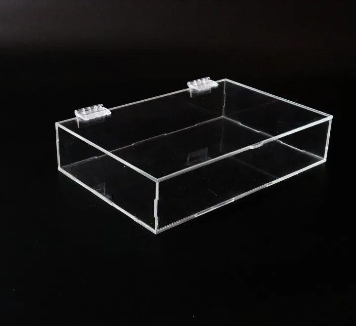 Acrylic Rectangular Snacks Candy Display Box 30x20 cm