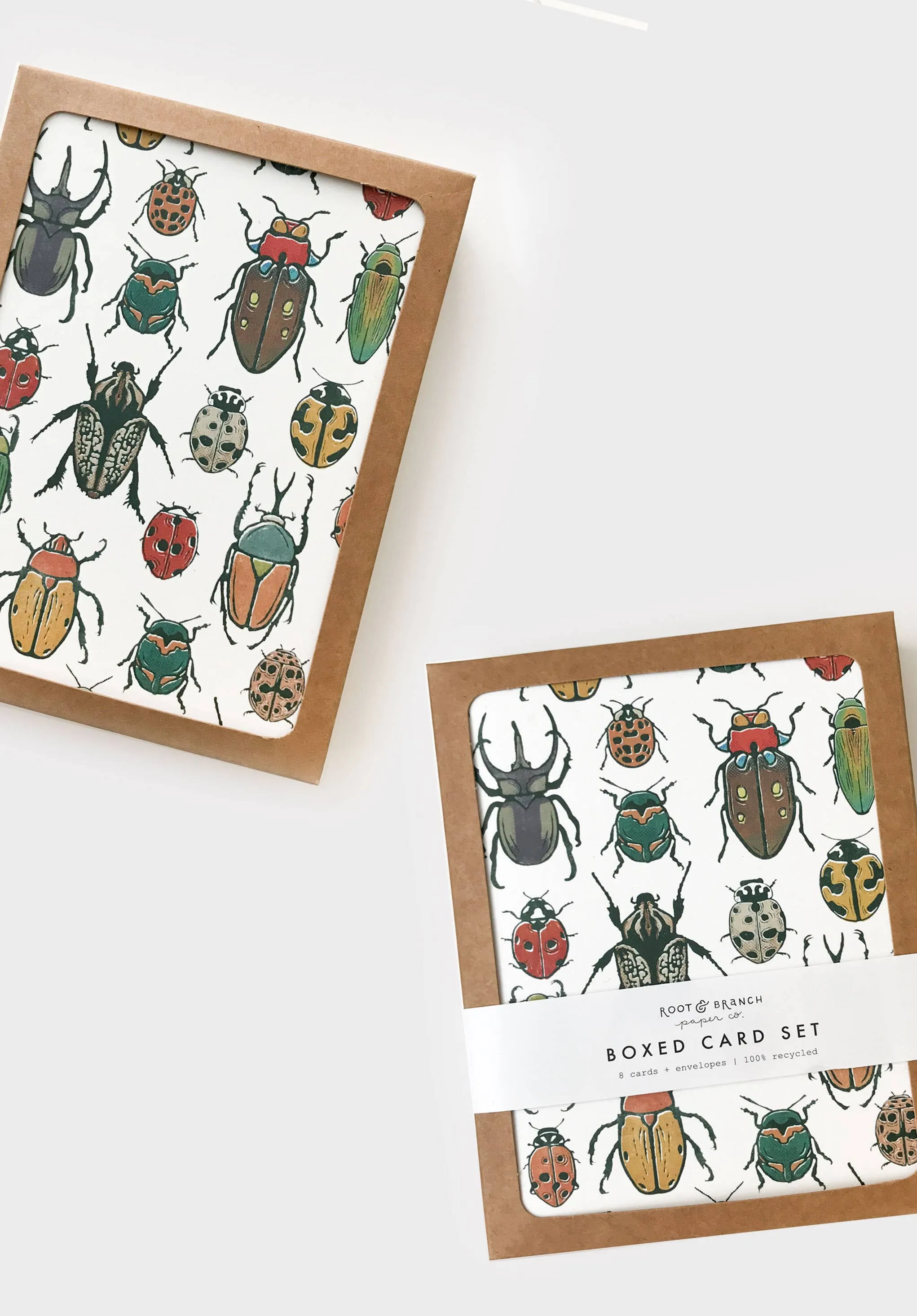 Beetle Boxed Card Set of 8