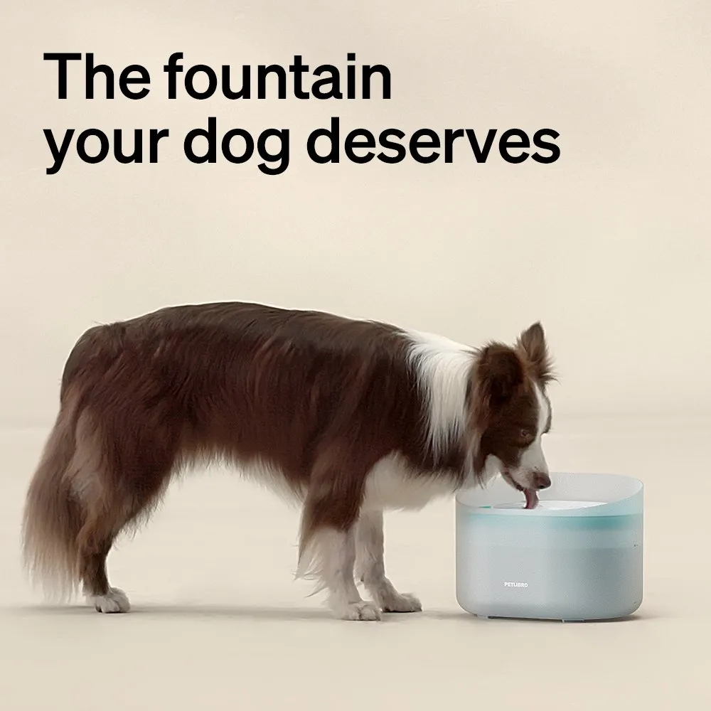 Capsule Dog Fountain & Space Dog Feeder Bundle