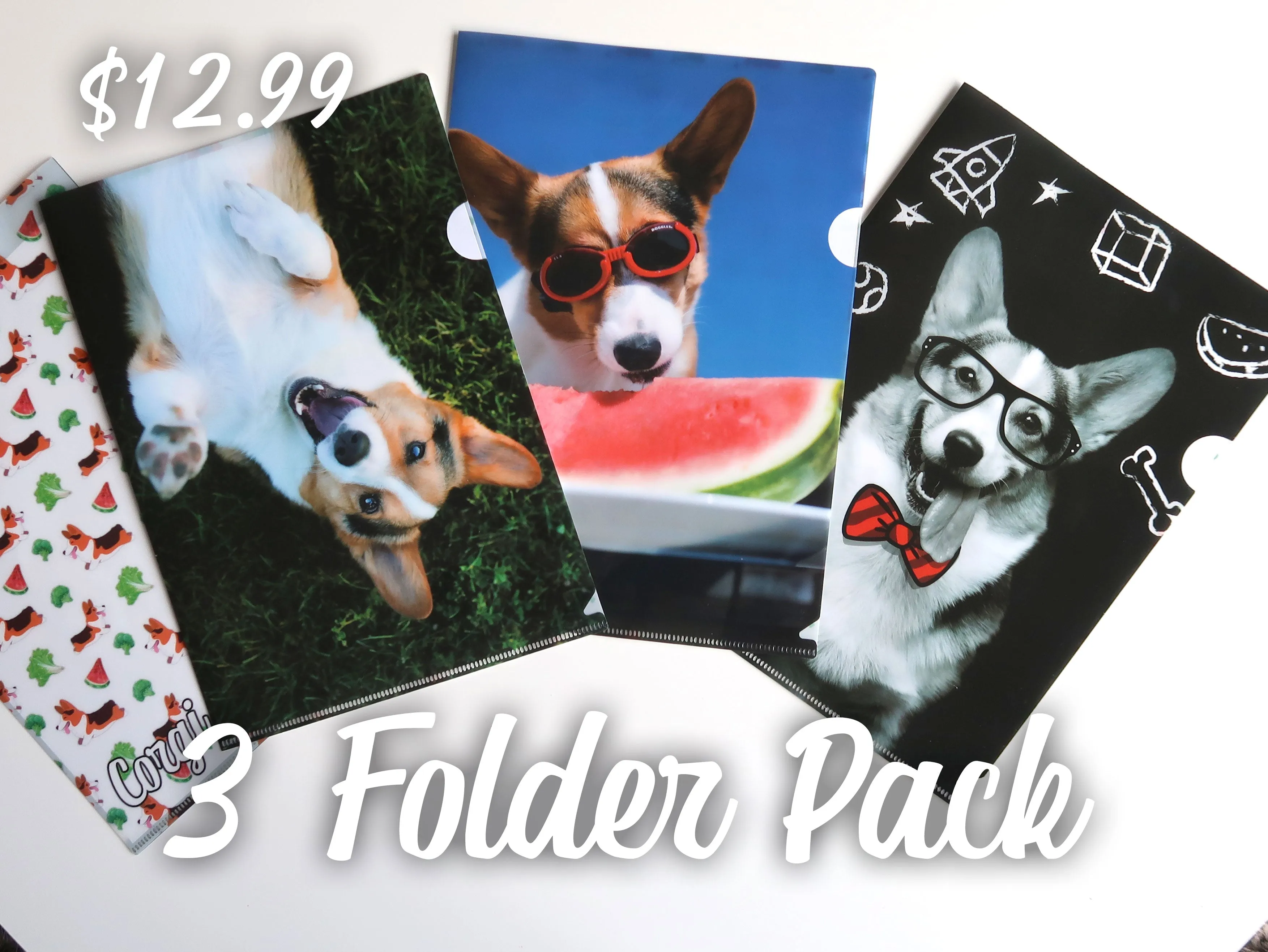 Corgi On Fleek Folder Sleeve Clear File Organizer