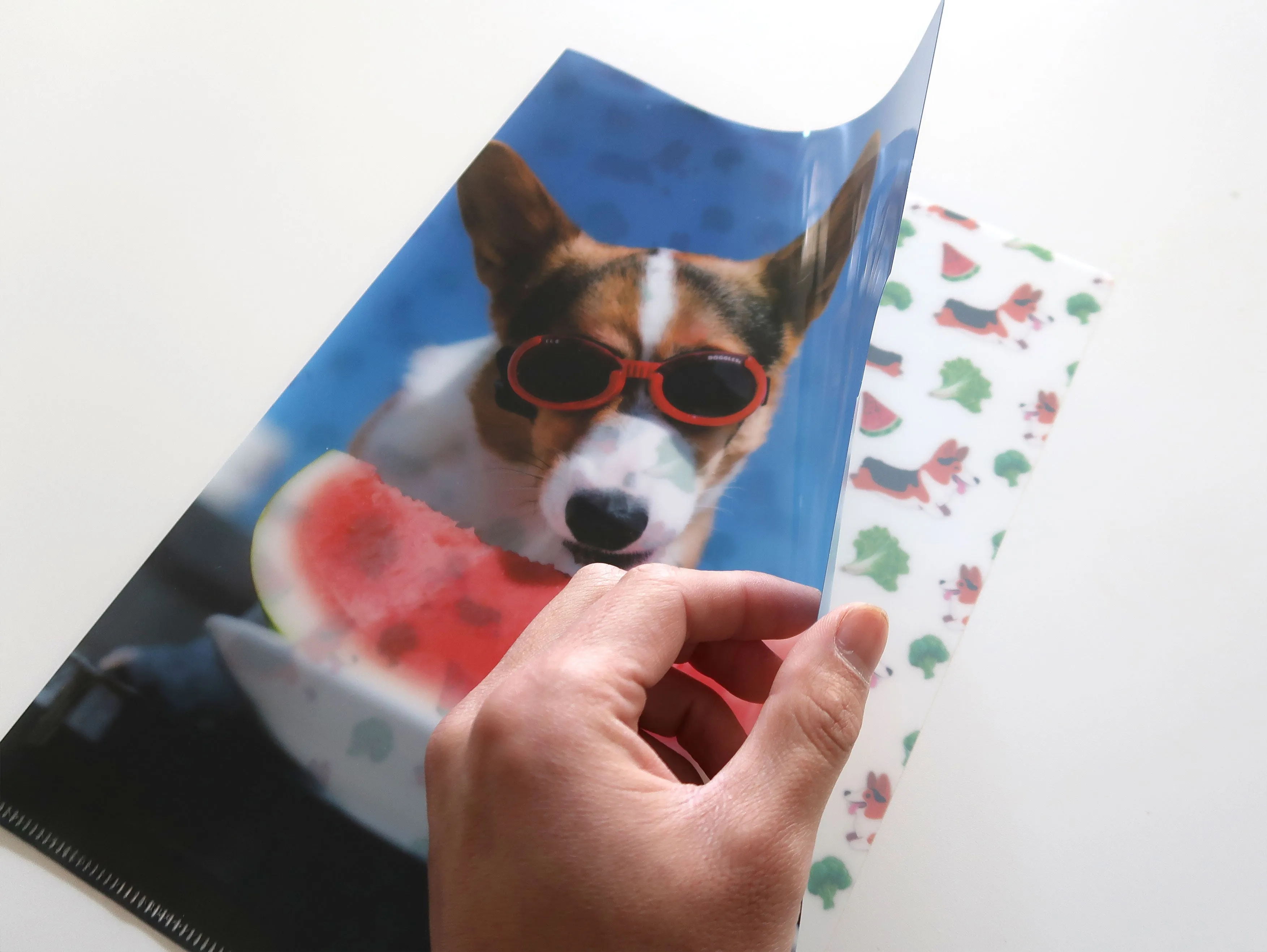 Corgi On Fleek Folder Sleeve Clear File Organizer