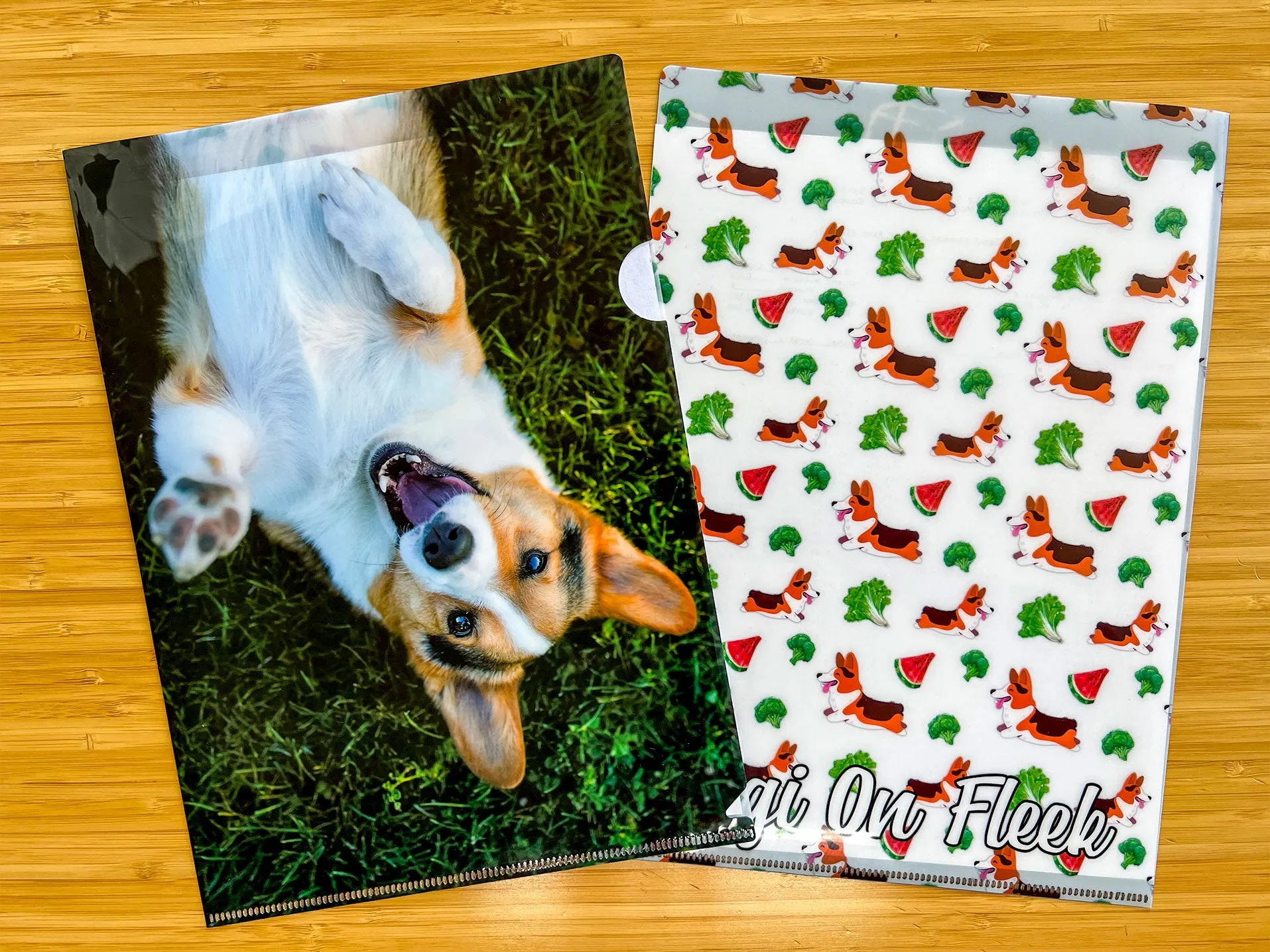 Corgi On Fleek Folder Sleeve Clear File Organizer