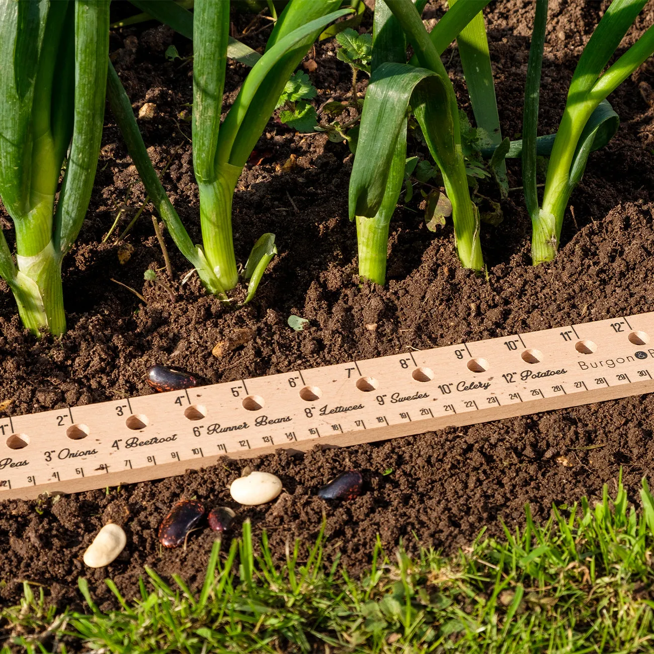 Planting Ruler