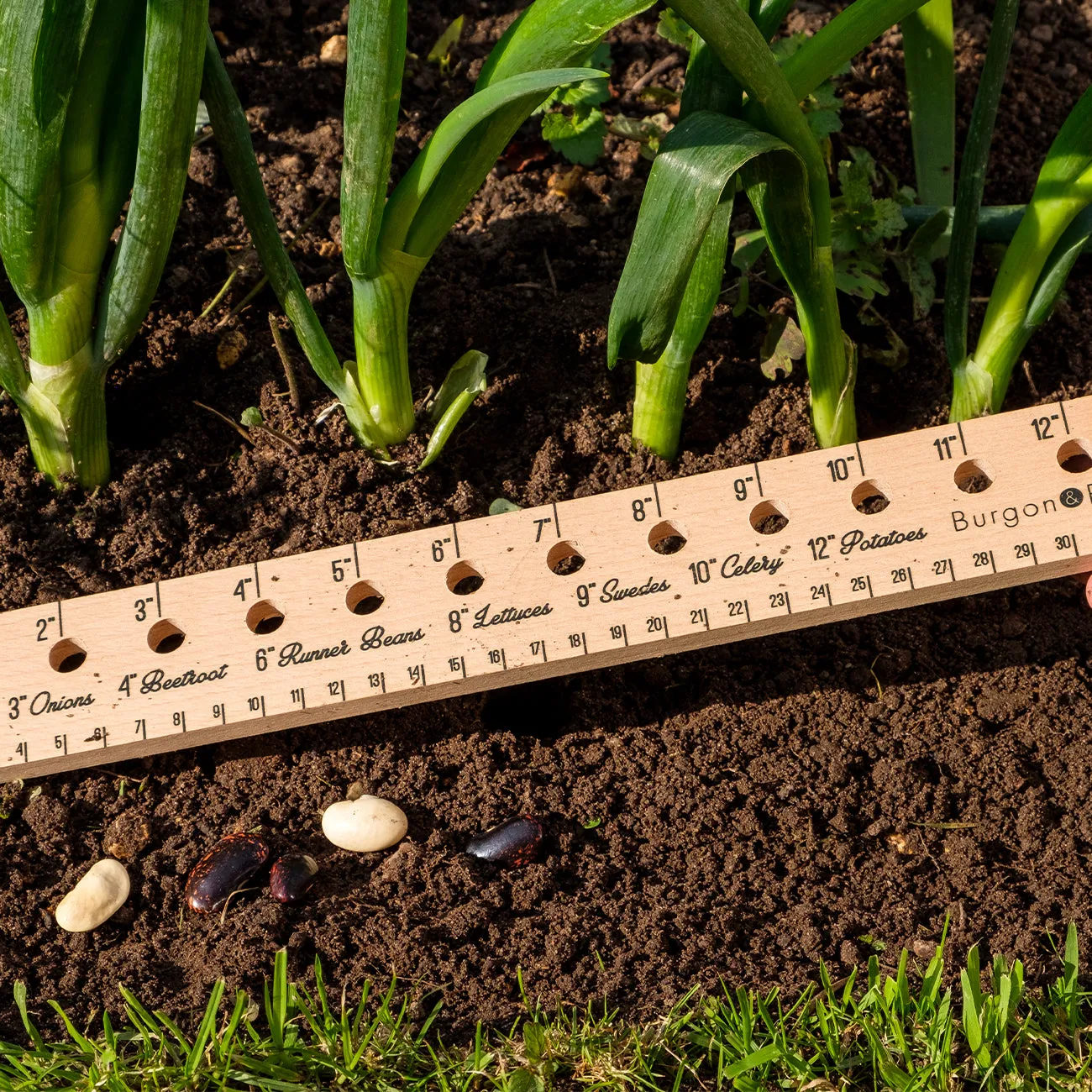 Planting Ruler